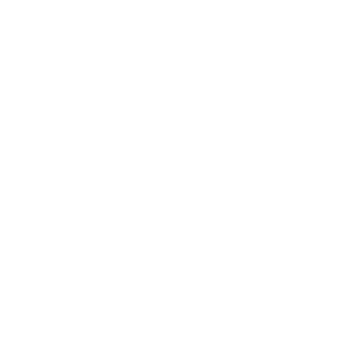 Raider Network Logo